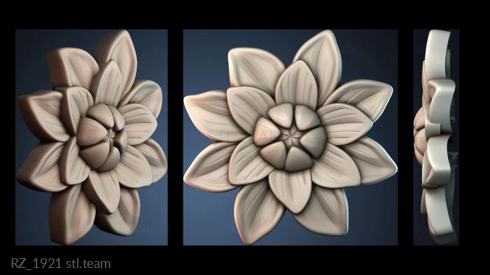 Розетки RZ_1921