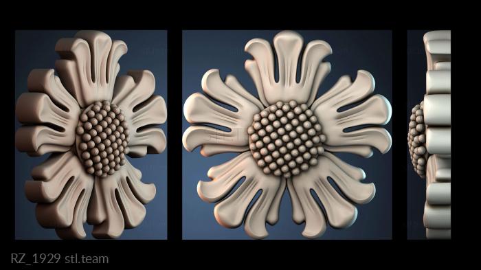 Розетки RZ_1929