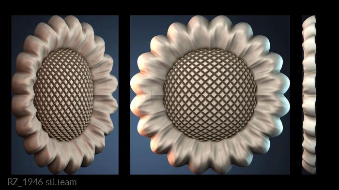 Розетки RZ_1946