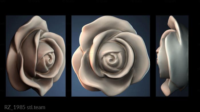 Розетки RZ_1985