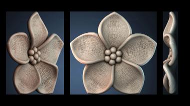 3D модель ROZETKA_2335 (STL)