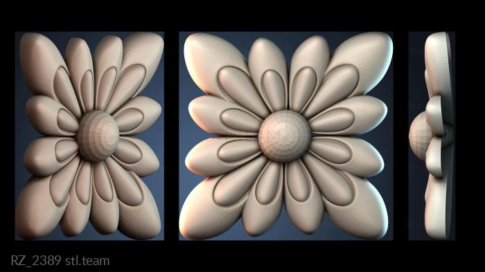 Розетки RZ_2389