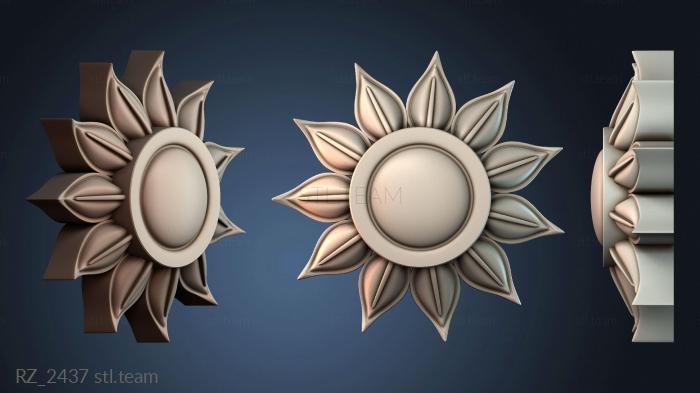 Розетки RZ_2437