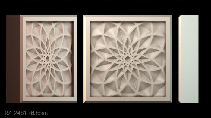 Розетки RZ_2481