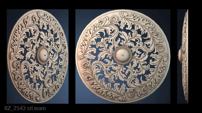 Розетки RZ_2543