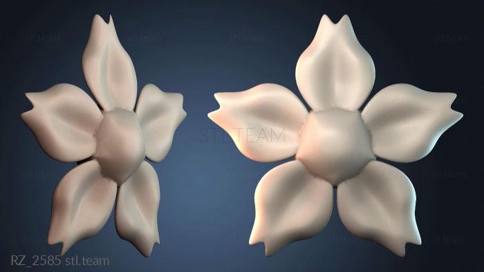 Розетки RZ_2585