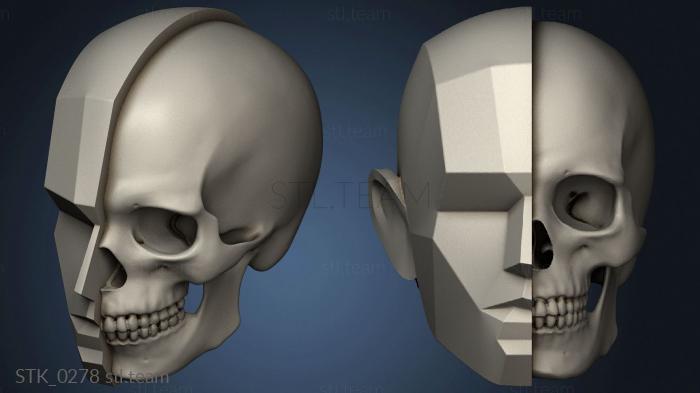 Статуэтки New version of Head Stub with ANTM0264 skull