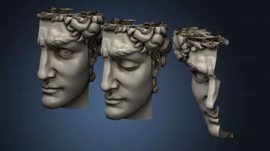 3D model Half-face of David (STL)