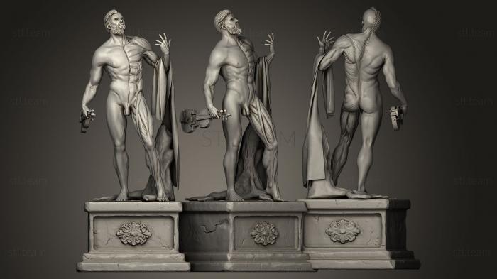 Статуи античные и исторические Contrapposto Anatomy