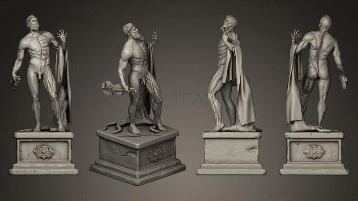 Статуи античные и исторические Contrapposto Anatomy
