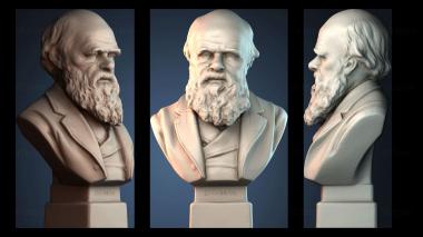 3D model Darwin Bust (STL)