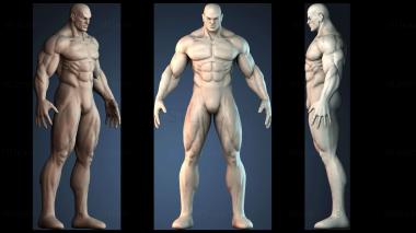 3D модель STKA_2057 (STL)