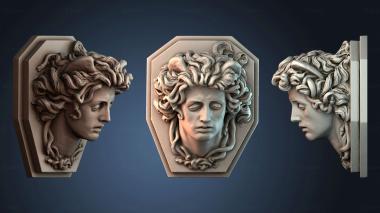3D model Medusas Head (STL)