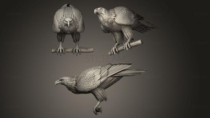 3D model eagle on a perch preparing for takeoff (STL)