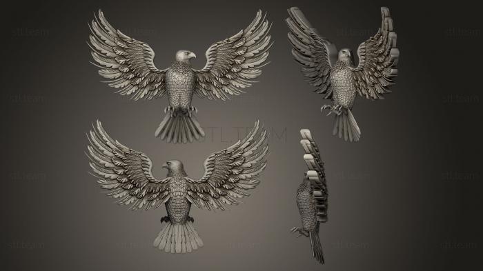 eagle with unfolded wings high detailed