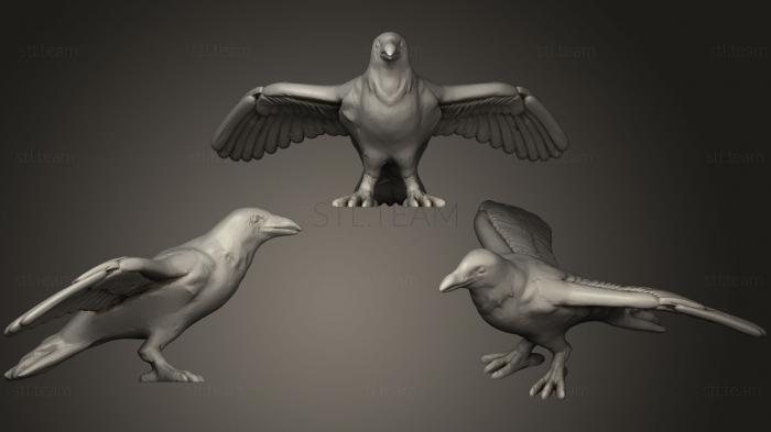 3D модель Ворона Распахнула Крылья Большого размера Ремикс (STL)