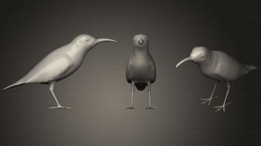 3D модель Смесь Sunbird с оливковой подложкой (STL)