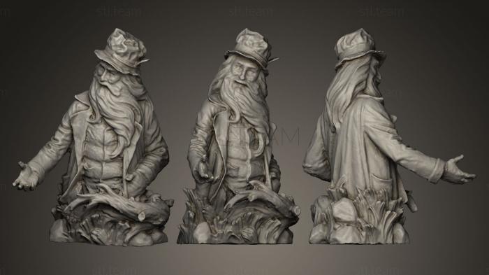 3D model Tom Bombadil The Lord of the Rings (STL)