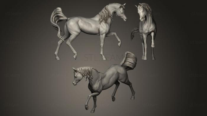 Статуэтки животных Horse sculpture plaing walk