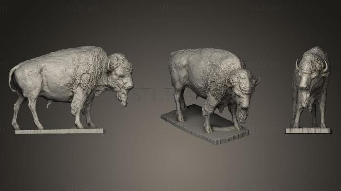 3D model American Buffalo Statue (STL)