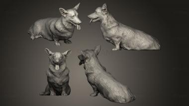 3D model Corgi dog sitting 02 (STL)