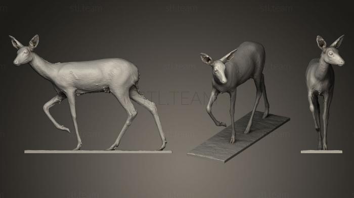 Статуэтки животных Doe caprelous Caprelous 3D