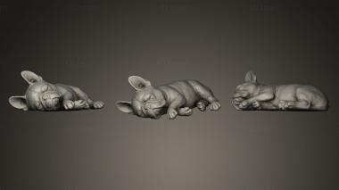 3D model French Bulldog Cute Sleeping A (STL)