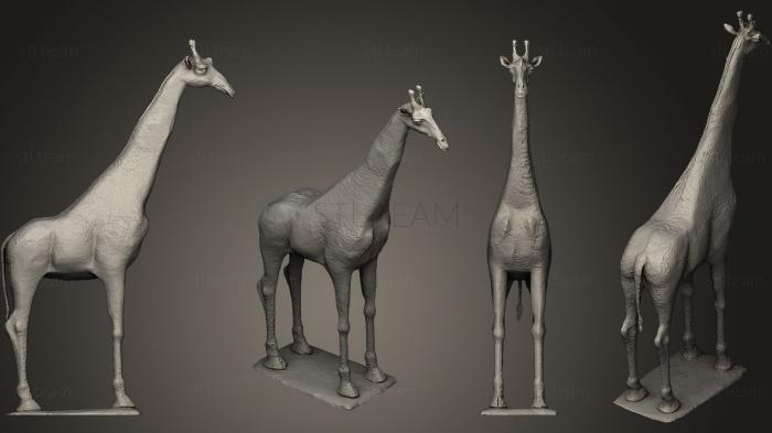 3D model Giraffe 15th meters (STL)