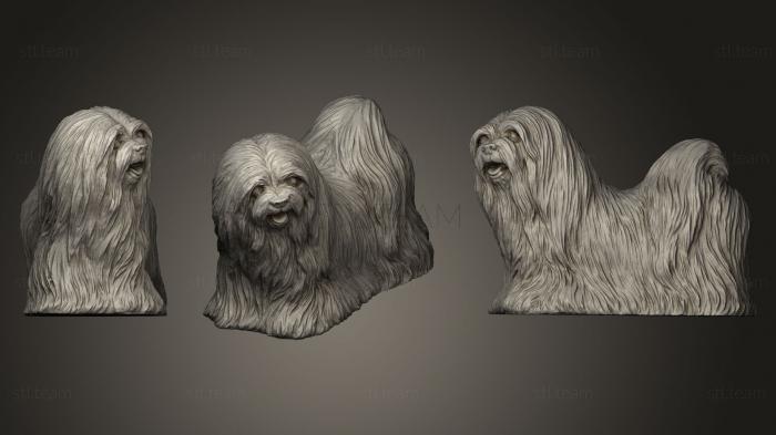 3D модель Статуэтка собаки Лхаса Апсо (STL)