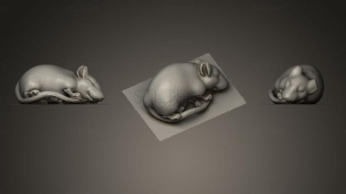 3D model Netsuke Sleeping rat (STL)