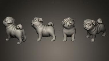 3D model Question Pug STL for 3D (STL)