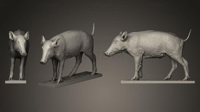 Статуэтки животных Wild Boar sus Scrofa 3D