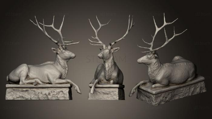 3D model Deer Liegende Wapiti Hirsche (STL)