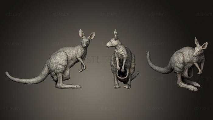 Статуэтки животных Kangaroo made in china