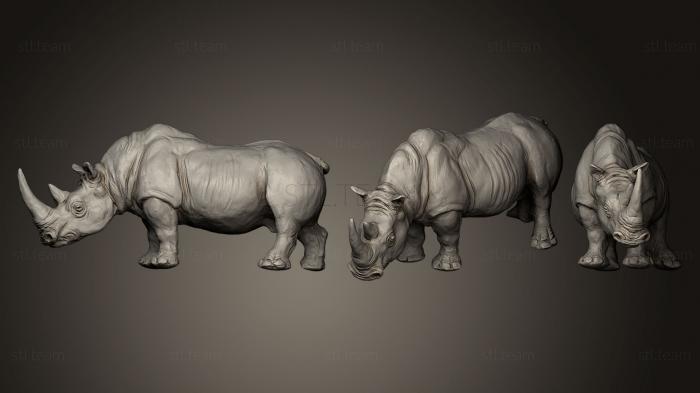 3D model Rinoceronte blanco Ceratotherium simum (STL)