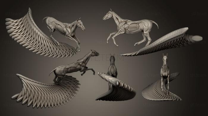 3D model Running horse ecorche (STL)