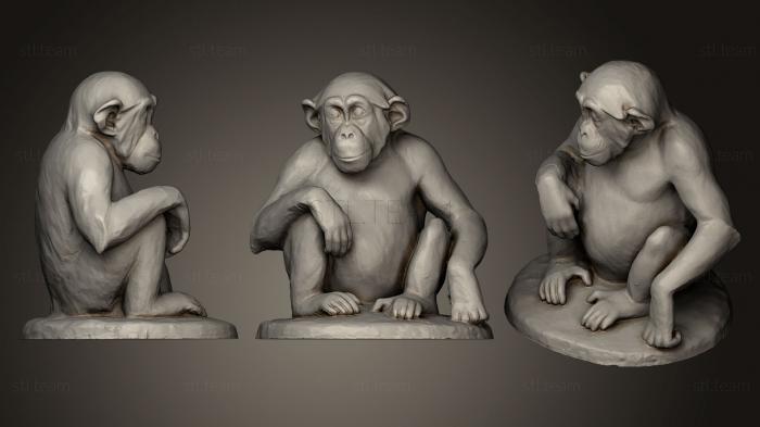 3D model Young chimp sitting (STL)
