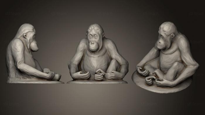 3D модель Молодой орангутанг сидит (STL)