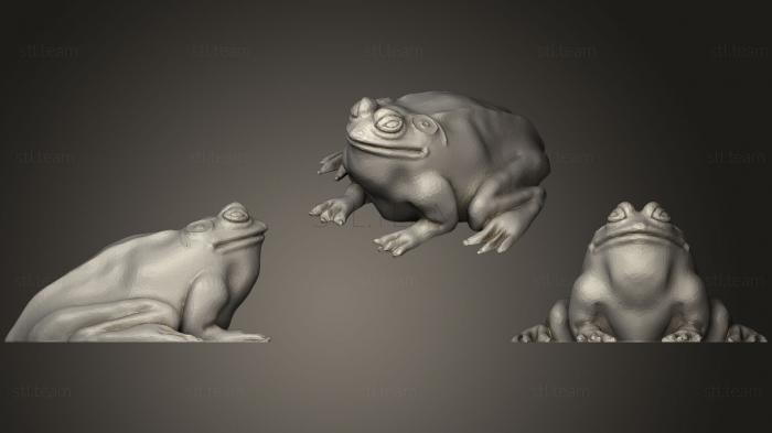 3D model Bull Frog (Ochsenfrosch) (STL)