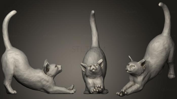3D model Cat Stretch Decimated (STL)