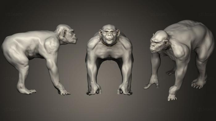 Скульптура шимпанзе Zbrush