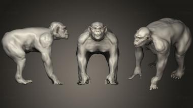 3D model Chimp Zbrush Sculpture (STL)