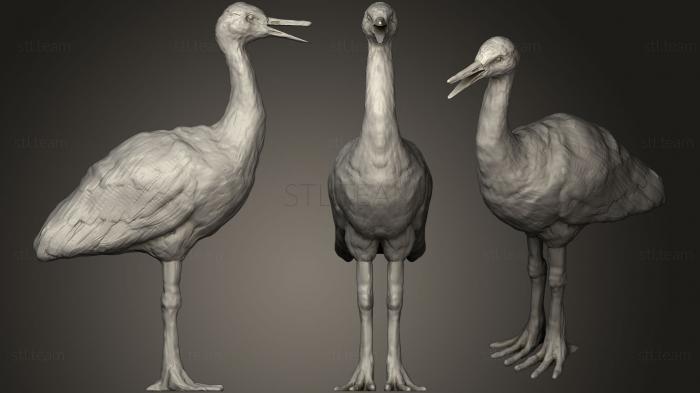 Статуэтки животных Crane With Open Beak
