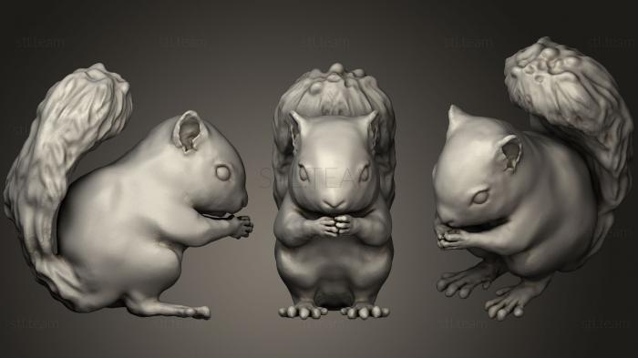 3D model Cute Fat Baby Squirrel (STL)