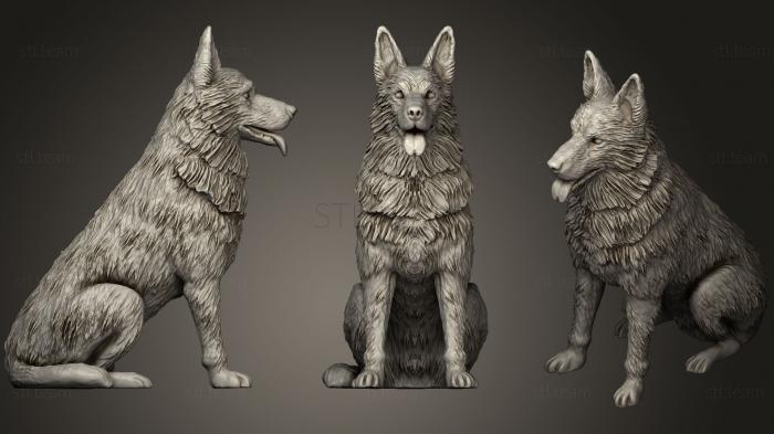 3D model East European (German) Shepherd Dog (STL)