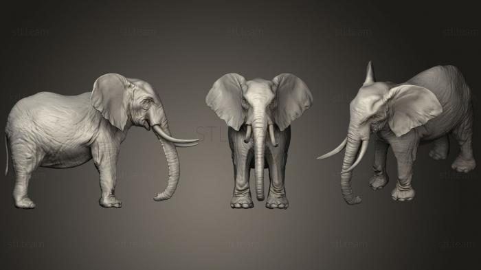 Слон для 3D-печати