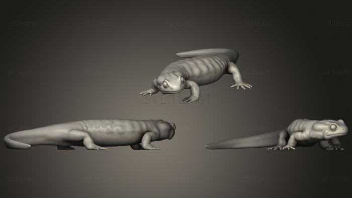 3D model Fire Salamander With Terrain (STL)