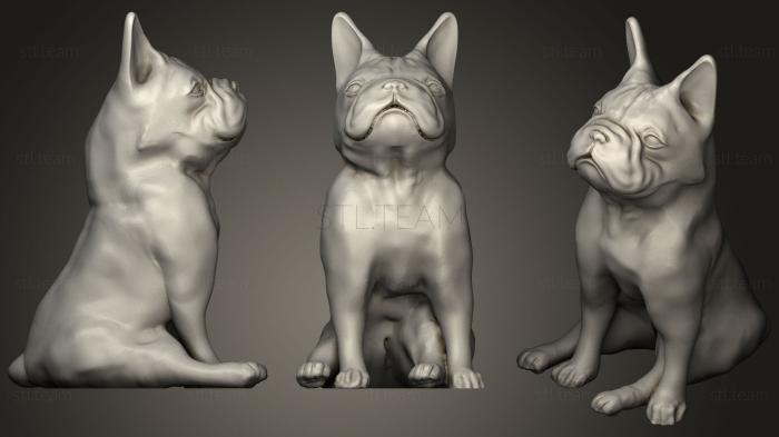 3D model French Bulldog Sitting Like A Boss (STL)