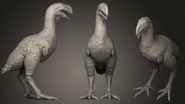 3D модель Gastornis (Gastornis Parisiensis) 1 35 (STL)