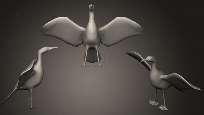 3D model Great Cormorant blend (STL)